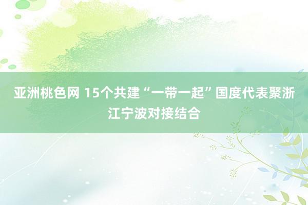 亚洲桃色网 15个共建“一带一起”国度代表聚浙江宁波对接结合