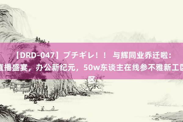 【DRD-047】ブチギレ！！ 与辉同业乔迁啦：直播盛宴，办公新纪元，50w东谈主在线参不雅新工区