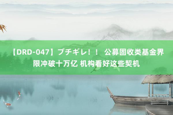 【DRD-047】ブチギレ！！ 公募固收类基金界限冲破十万亿 机构看好这些契机