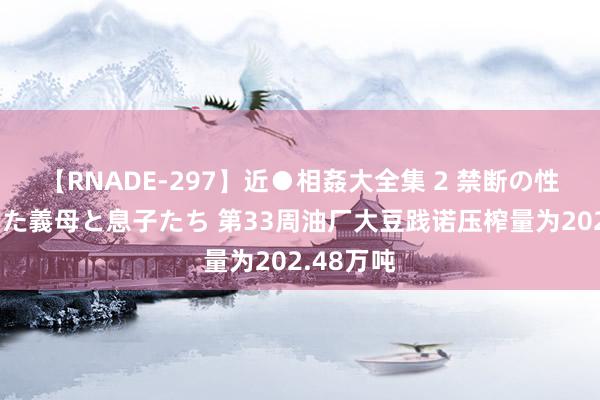 【RNADE-297】近●相姦大全集 2 禁断の性愛に堕ちた義母と息子たち 第33周油厂大豆践诺压榨量为202.48万吨