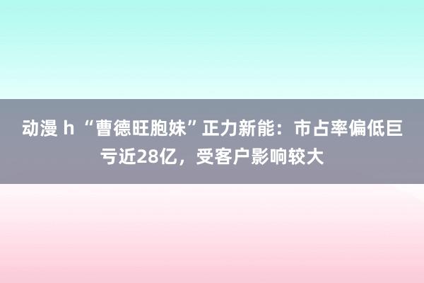 动漫 h “曹德旺胞妹”正力新能：市占率偏低巨亏近28亿，受客户影响较大